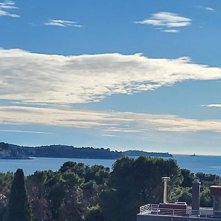 Villa Salvia Rooms And Apartments Ρόβινι Εξωτερικό φωτογραφία