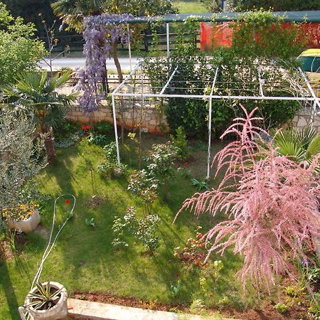 Villa Salvia Rooms And Apartments Ρόβινι Εξωτερικό φωτογραφία